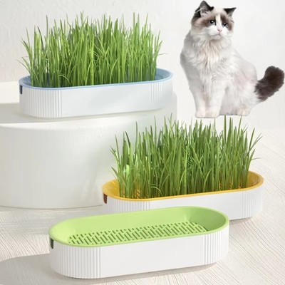 Katzen leckereien Hydro po nische Katzen-Gras-Box Katzen-Gras-Topf-Set
