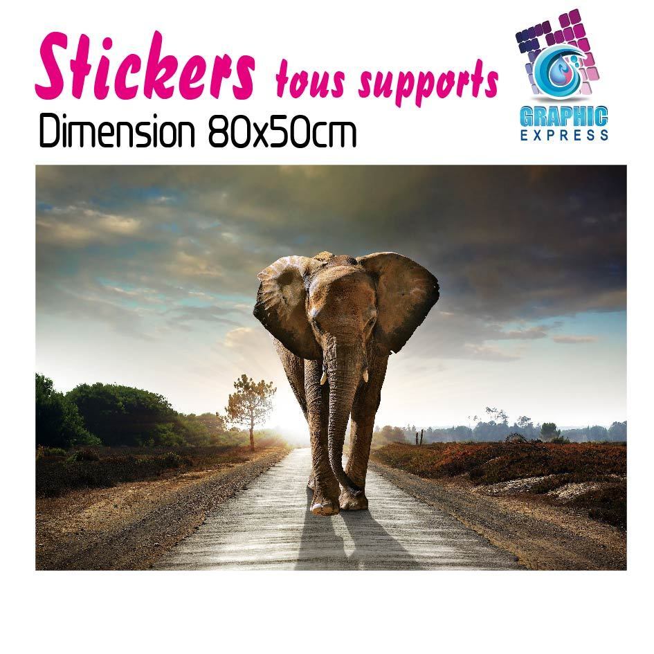 Bild 54 von 119
