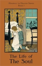 The Life of the Soul: Highway to Heaven Series (Paperback or Softback)