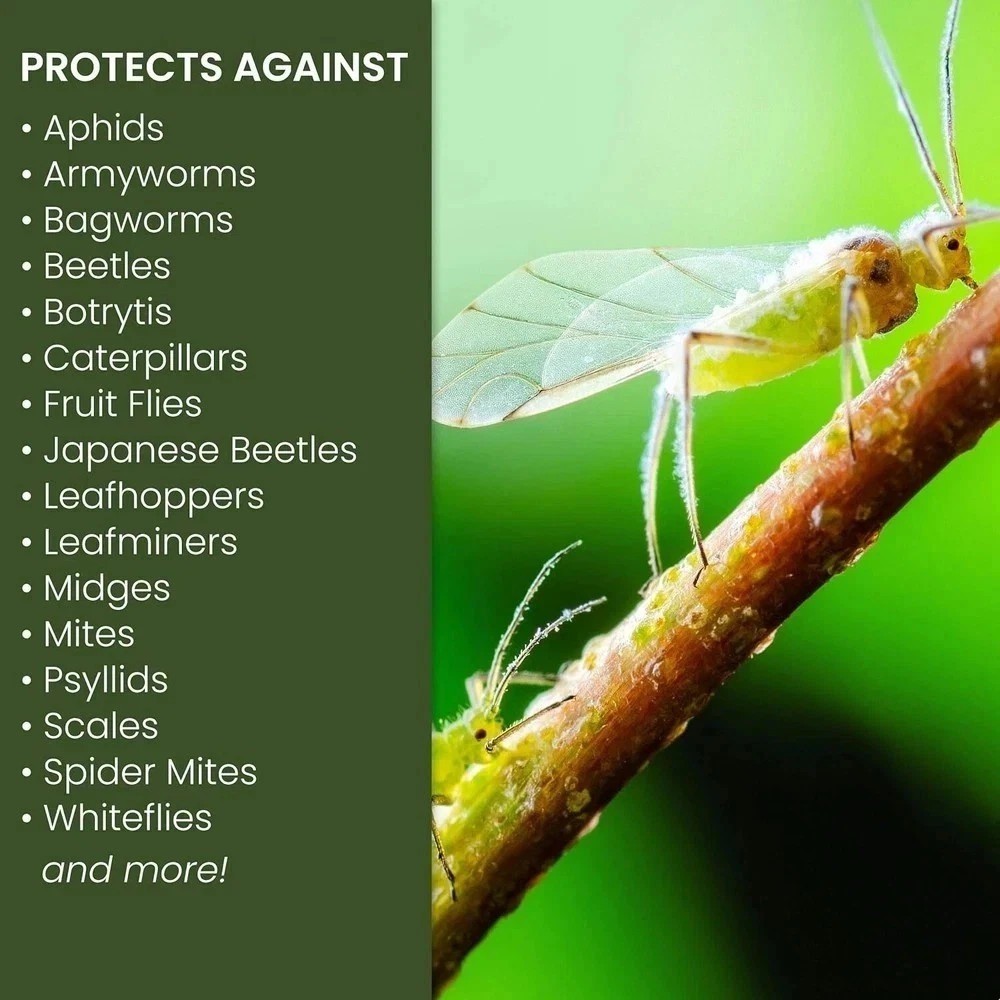 Natria 706250A Neem Oil Spray for Plants Pest Organic Disease Control, 24-Ounce.