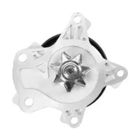 Dayco Engine Water Pump DAY-DP1937