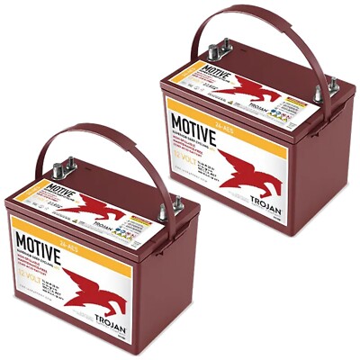 2 Pack of Trojan 24-AES 12V Superior Deep Cycling VRLA AGM Batteries - BCI 24