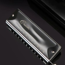 Black 12 Hole Chromatic Harmonica C Key Non Mucosal BeginnerMouthHarmonica Child
