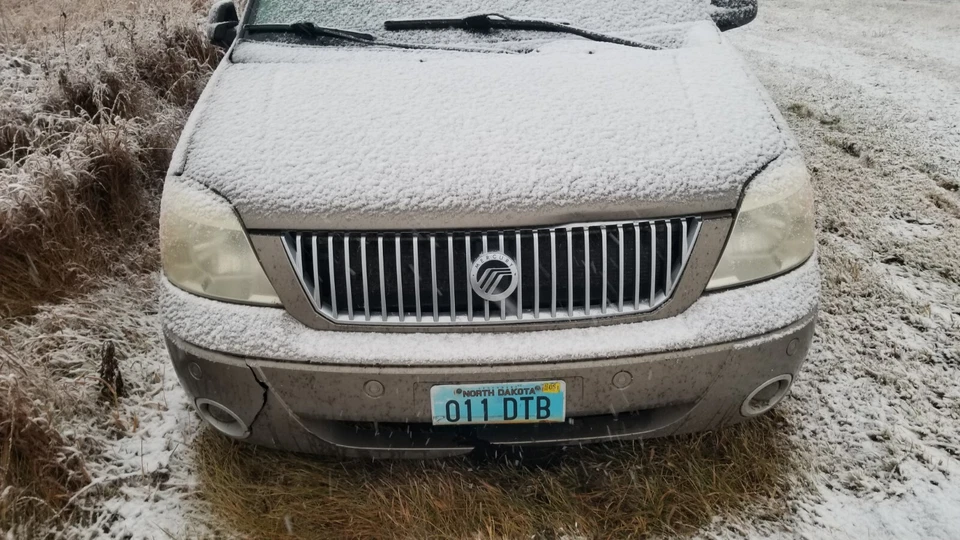 PAR DE PANELES DE PUERTA 2004-2007 Mercury Monterey puede adaptarse a Ford Freestar Foto 4 de 4