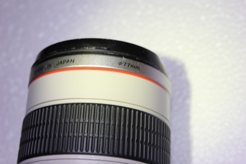 Canon Zoom Lens EF 70-200mm 1:2.8 L Ultrasonic - Bild 8 von 23