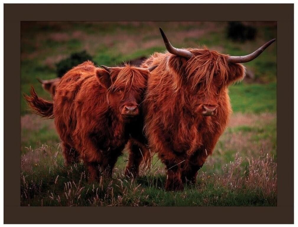 Highland Cow Faux Leather Lap Tray, Rural Roots, Cattle, Animals FLTF2604