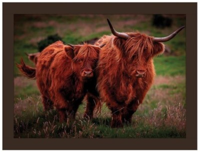 Highland Rind Kunstleder Schoß Tablett, ländliche Wurzeln, Rinder, Tiere FLTF2604