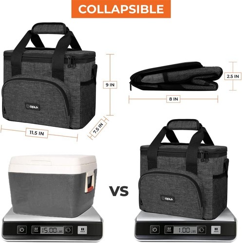 Large Insulated Lunch Bag Mini Cooler for Adults For Travel Women Men Leakproof - Picture 2 of 8