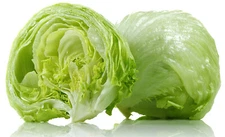 1200+ Crisphead Iceberg Lettuce Seeds | Non-GMO | Fresh Garden Seeds USA Grown 
