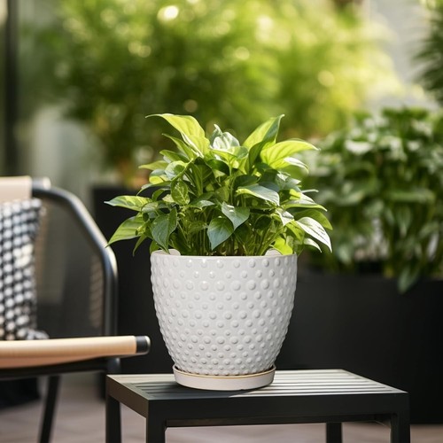 Versatile 10 Inch Ceramic Pot for Houseplants - Perfect Gift for Plant Lovers - Picture 6 of 10
