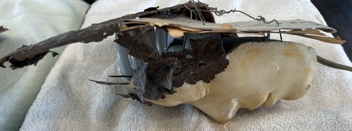 FACE CASTING Sculpture & Wall Lamp Original Art “Like a Death Mask” - Live Model - Picture 10 of 11