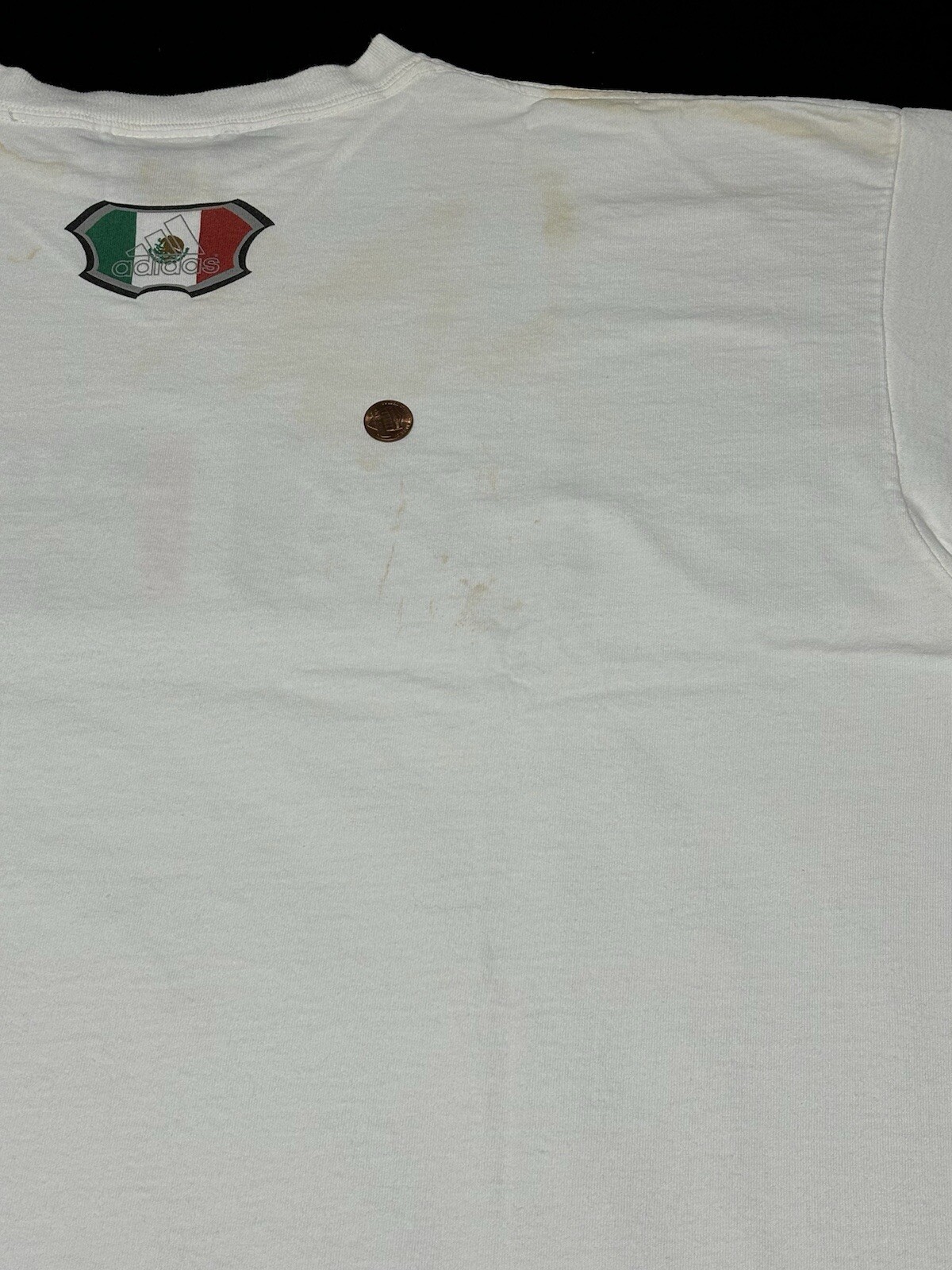 Picture 5 of 12