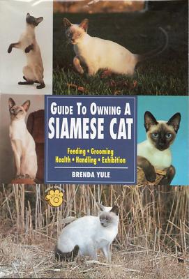 Guide To Owning A Siamese Cat New Book Cat Feeding grooming Health.New Book.