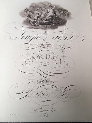 The Temple Of Flora” Botanical Prints Robert John Thornton The