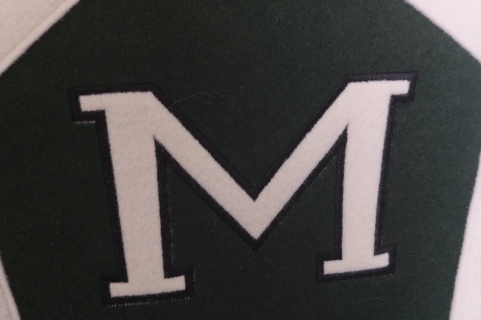 NUEVO Banderín de Lana Bordado Baloncesto MSU Spartans De Colección 40" Michigan State MSU Foto 3 de 4