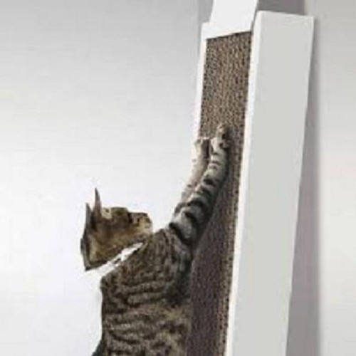 Rascador-para-gatos-de-carton-Sencillo-rascador-de-carton-que-permite-a-su-gato
