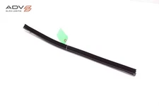 2023 - 2024 FISKER OCEAN REAR RIGHT DOOR WINDOW INNER BELT WEATHERSTRIP SEAL OEM