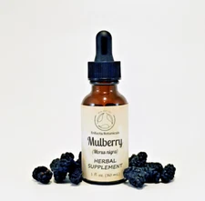 MULBERRY Herbal Supplement / Liquid Extract Tincture / Morus nigra