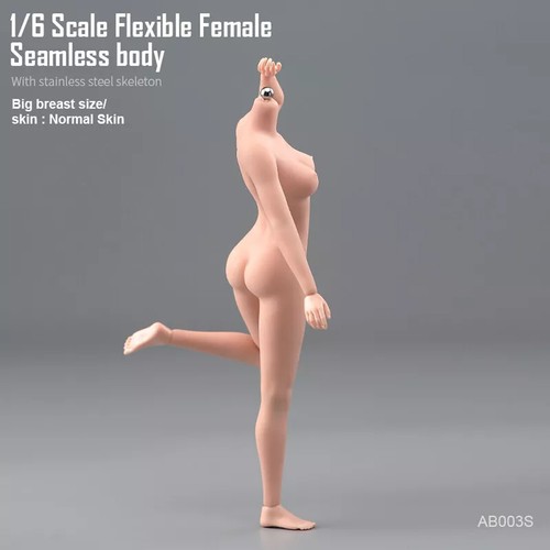 1:6 Scale Flexible Seamless Body Large Bust Breast For 12''Female Figure Toy - Bild 12 von 32