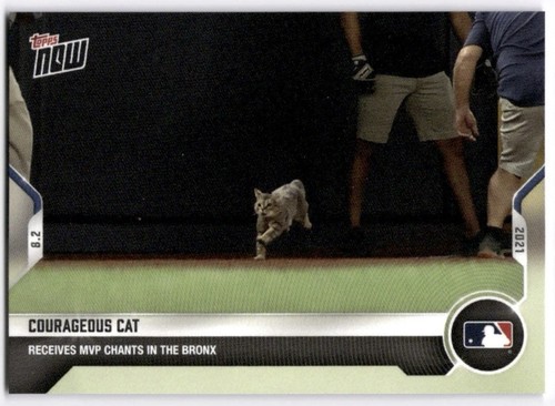 2021 Topps Now 608 COURAGEOUS CAT