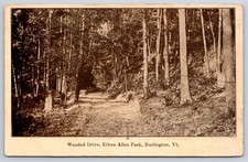 Antique Vermont Postcard BURLINGTON Wooded Ethan Allen Park 1909