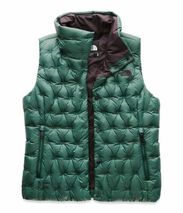 The-North-Face-Women-039-s-Holladown-Crop-Vest-Botanical-Garden-Green-NWT-139