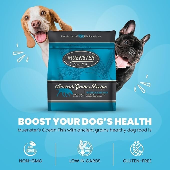 With Dog Food Topper Free Shİppİng