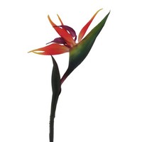 KüNstliche Strelizie H. 83Cm Rot GrüN Natur Gasper Kunstblumen