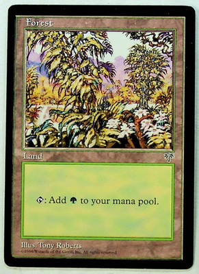 Forest #294 - Mirage Regular