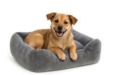 Hundebett mit waschbarem Bezug, Neu
