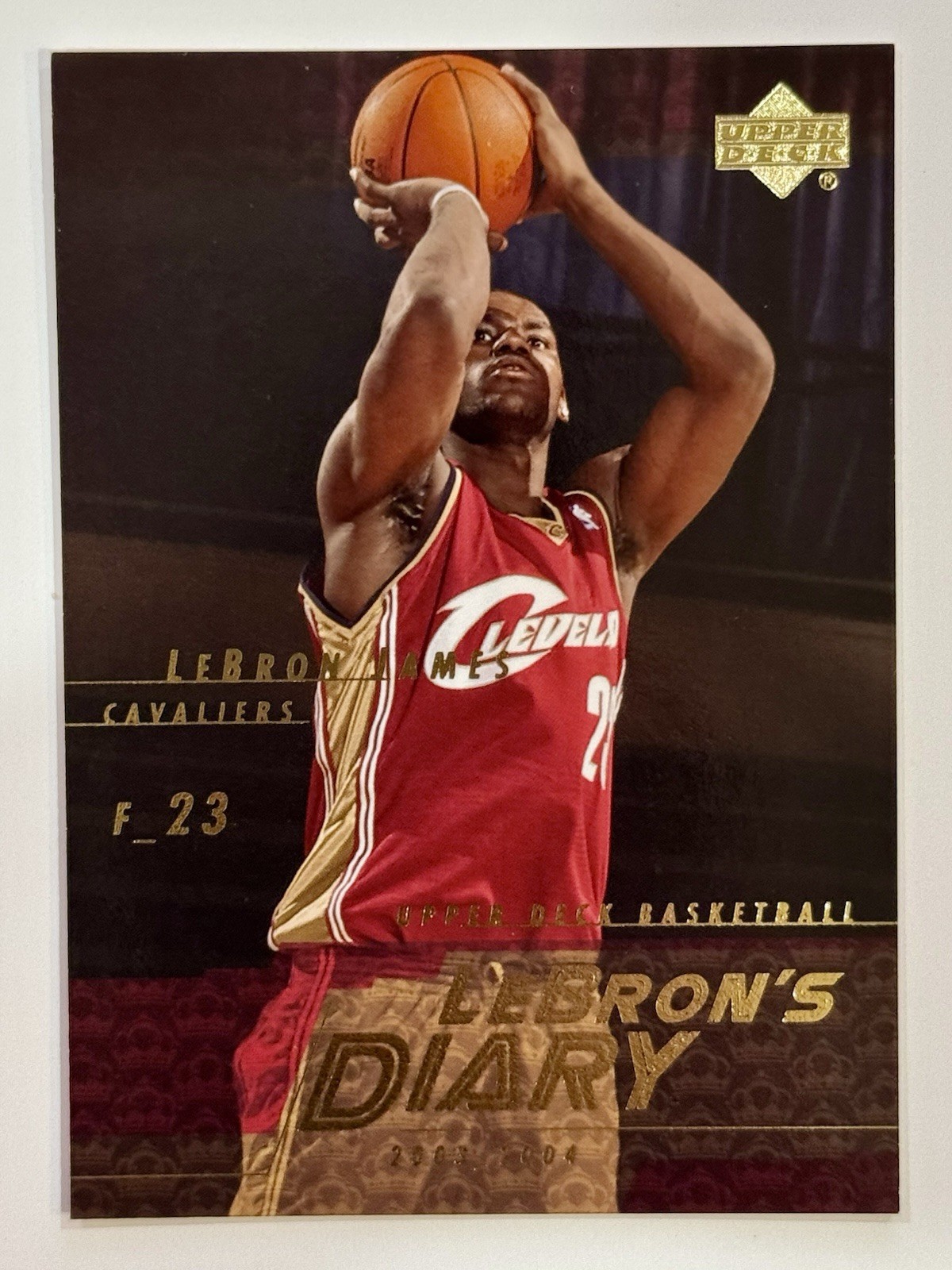 2003-04 Upper Deck - Lebron's Diary LeBron James #LJ12 (RC)