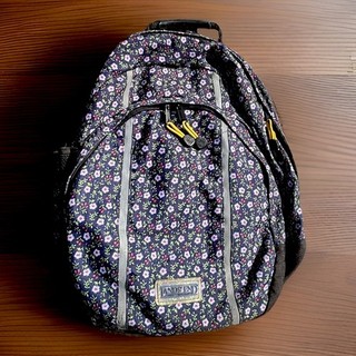 Land's End Backpack