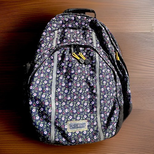 Land's End Backpack - Highly rated Buy It For Life recommendation
