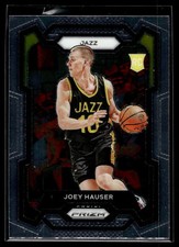 Joey Hauser 2023-24 Panini Prizm Rookie Card #293