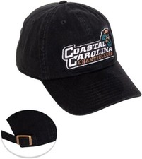 Desert Cactus Coastal Carolina University Baseball Hat Chanticleers CCU... 