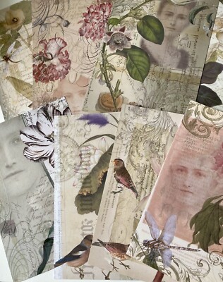 8 Design-Papiere aus der Kollektion  Beautiful Flowers  von LaBlanche, 20x14 cm