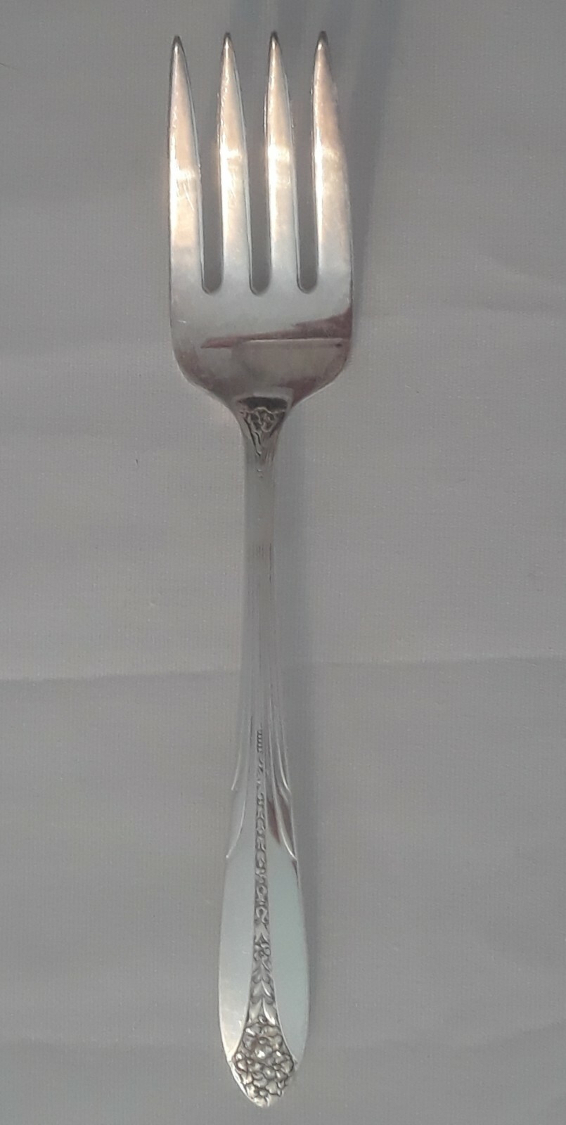 Picture 8 of 14