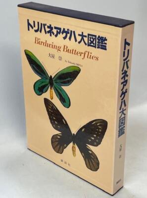 one hundred butterflies  写真集　100の蝶 il_fullxfull.6447450030_8z7b.jpg