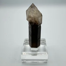 Scepter Smoky Quartz from Hallelujah Junction, Nevada - Fine Mineral Specimen