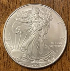 2009 American Silver Eagle 1 Troy oz .999 Fine Silver Dollar Coin