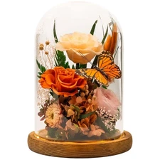 Eternal Flowers with Butterfly: Big Is Love Series-Elegant Preserved Flowers ...
