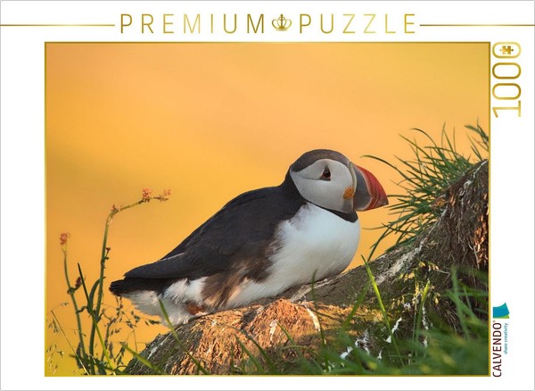 Calvendo Puzzle In The Light Of The North | 1000 Pieces, Finished Size 25.2 × 18-image