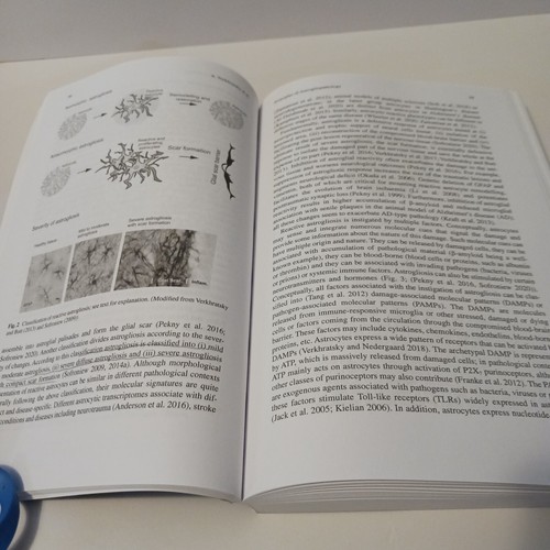 Astrocytes in Psychiatric Disorders, Paperback by Vladimir Parpura, 2021, Vol 26 - Picture 21 of 24