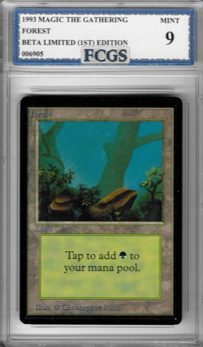 1993 MTG Beta Limited Forest Graded FCGS 9 MINT! - Picture 1 of 2