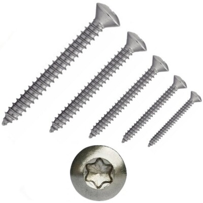 Linsensenk Blechschrauben Innensechsrund ISO 14587 Edelstahl A2 A4 C TX Torx