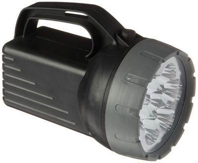 Rayovac LED Flashlight, Floating Camping Flashlight for Pack of 1, Black 