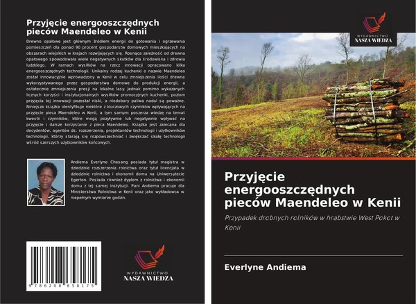 Everlyne Andiema | Przyj¿Cie Energooszcz¿Dnych PiecóW Maendeleo W Kenii | Buch-image