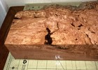 Bild 7 von 17