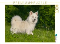 Calvendo Puzzle Confident Icelandic Sheepdog | 1000 Pieces, Finished Size 25.2 ×