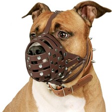 CollarDirect Pitbull Dog Muzzle Leather 1 Count Pack of 1 , Brown Strap